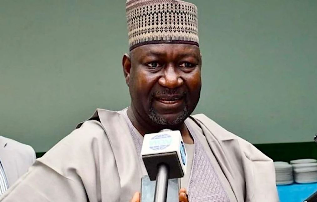 Minister of Power Abubakar Aliyu